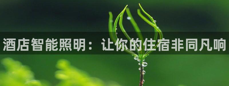 云顶国际公馆产权年限