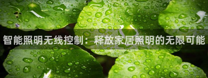 云顶国际是个什么平台