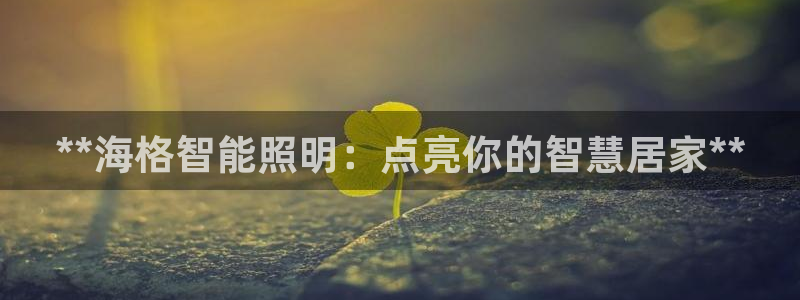云顶最新调整