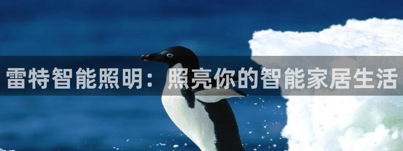 云顶国际大酒店位于哪个街道