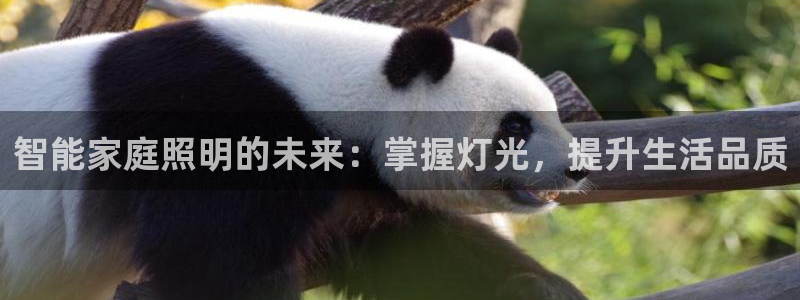云顶国际nba今日推荐