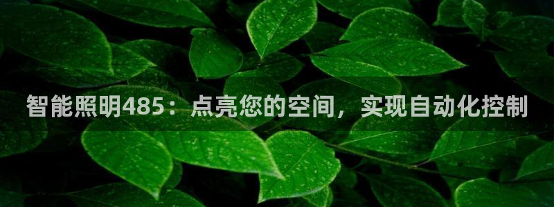 云顶集团网投领