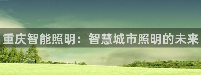 云顶国际服s11
