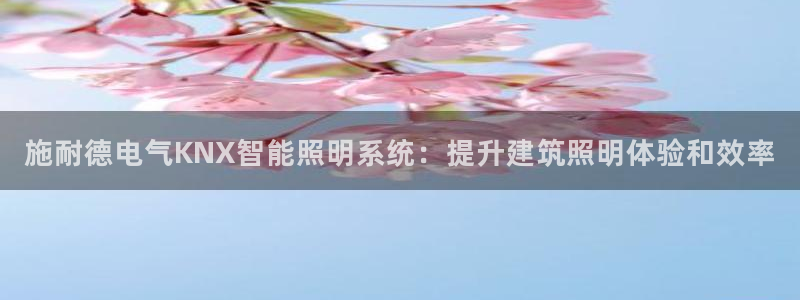 云顶集团林国泰