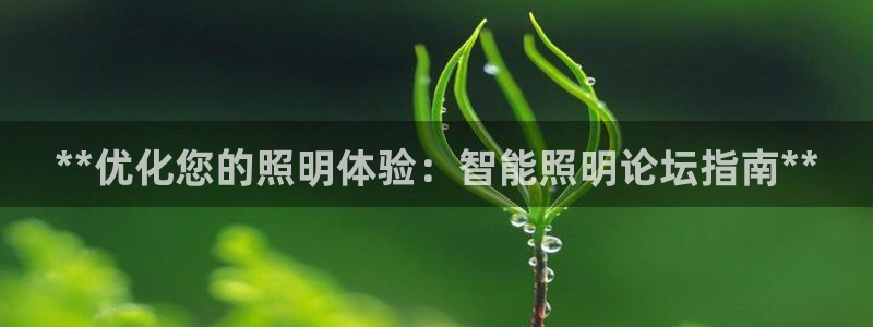 云顶国际账号怎么登录不了游戏