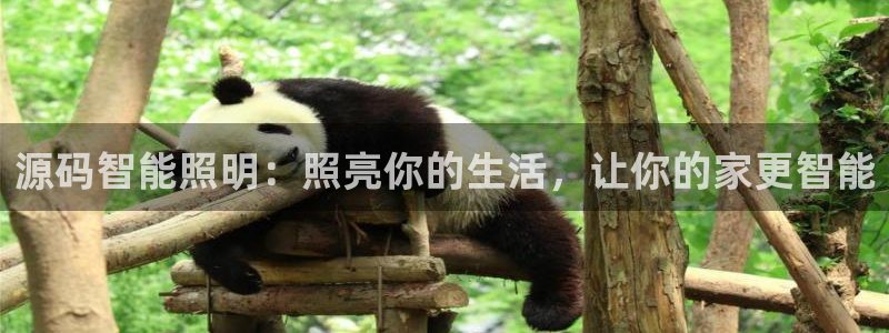 云顶国际平台提款受阻
