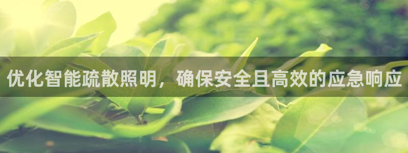 登录云顶集团