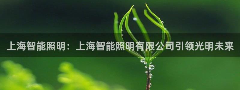 云顶国际服注册流程