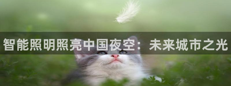4008浏览器云顶下载
