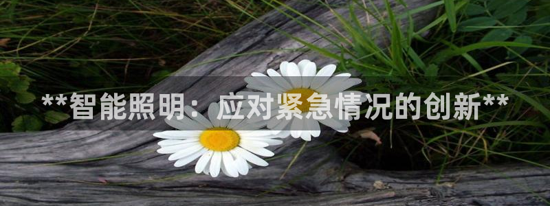 云顶国际公馆在哪