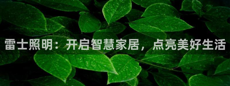 云顶国际足球app下载安装