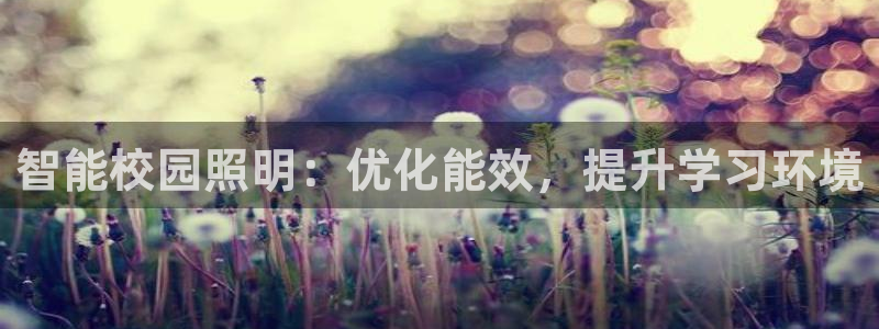 云顶国际游戏平台53m