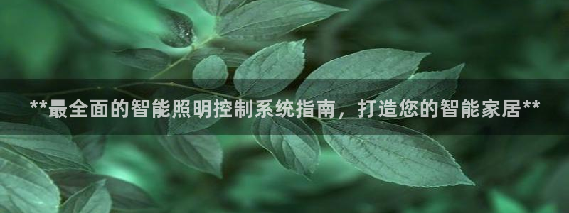云顶国际服怎么登陆