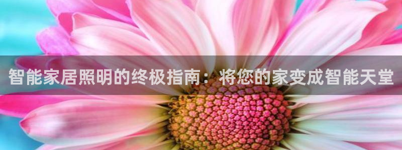 云顶国际集团官网首页入口