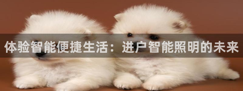 12311云顶线路检测