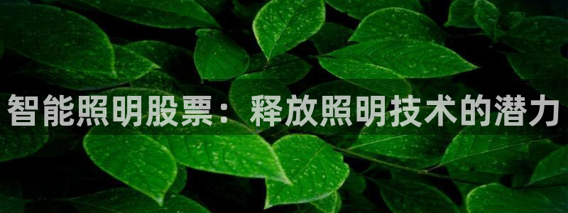 云顶国际高中学费多少一年