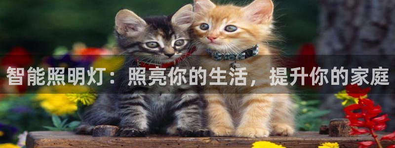 云顶国际官方网站下载