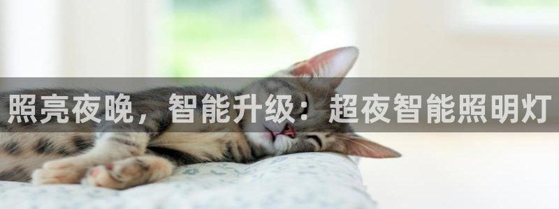 云顶集团app下载官网老版本