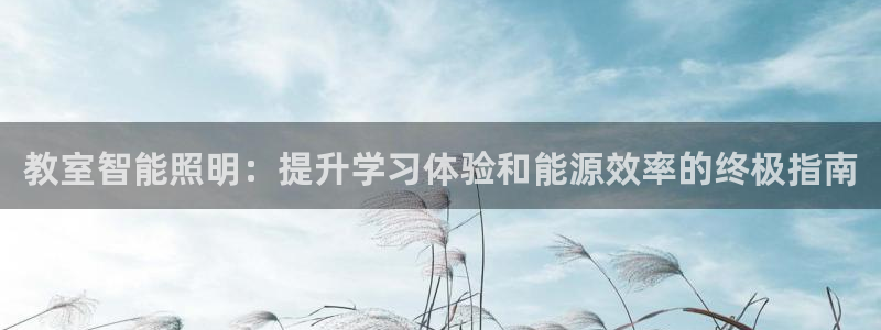 云顶集团简介