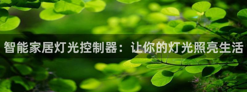 云顶国际商业广场a座101层
