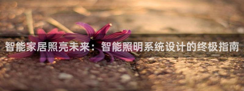 云顶集团网投领