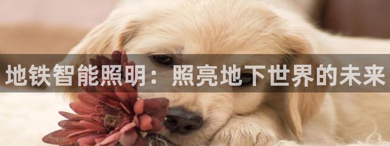 云顶集团专属app