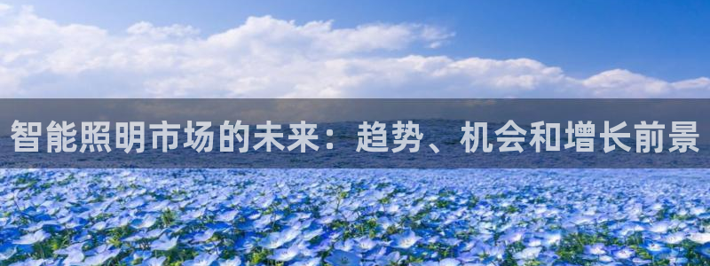 云顶集团林志华简介