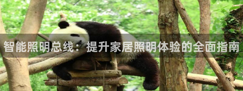 云顶国际app是什么软件