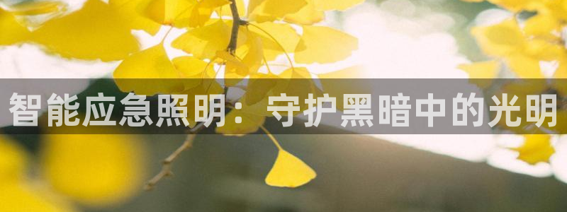 云顶国际取款多久到账户