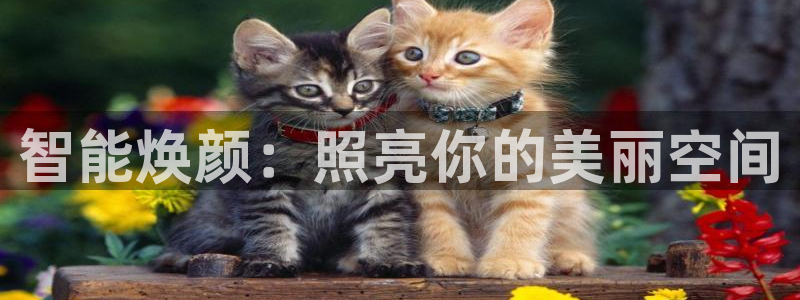 云顶国际集团官网