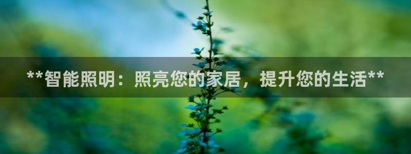 云顶国际是做什么的公司