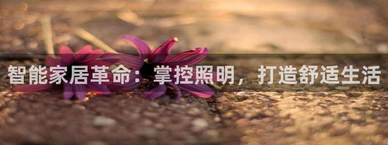 云顶国际网站打不开