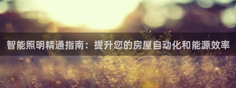 云顶国际服和端游互通吗