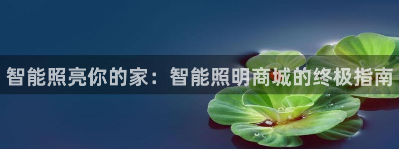 云顶国际音乐会所怎么样