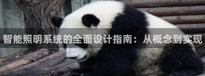 云顶国际高中