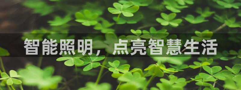 云顶集团游戏网站