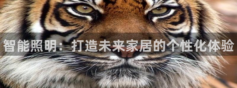 中国云顶集团