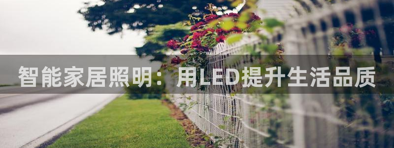 云顶 官网
