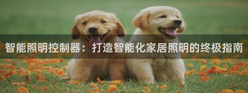 云顶dl