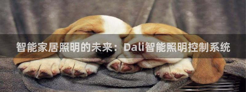 云顶官网·com
