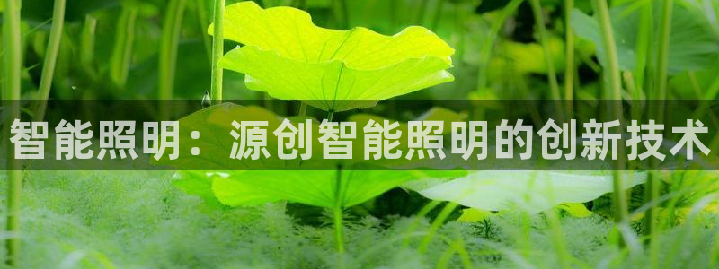云顶集团公司简介