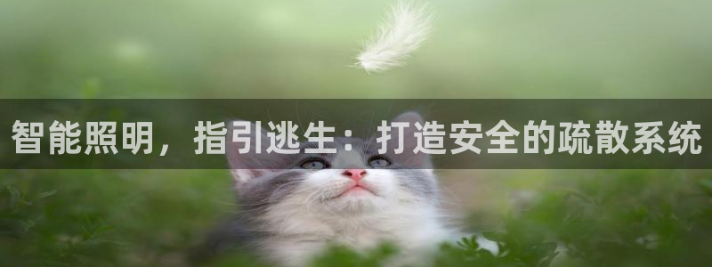 云顶官方