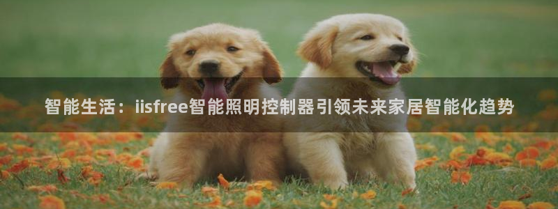 怎么下载云顶国际服