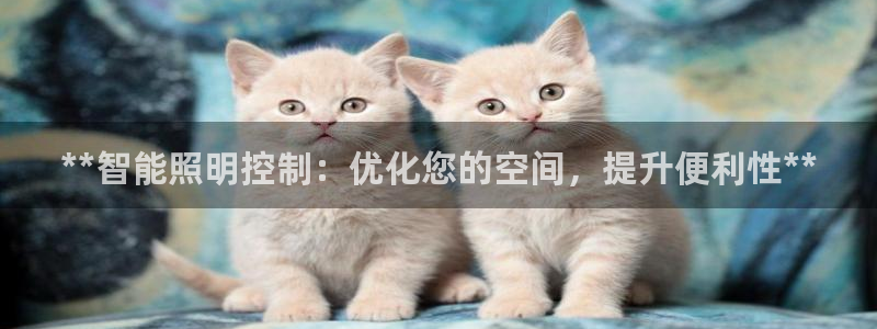 云顶国际高中学费多少