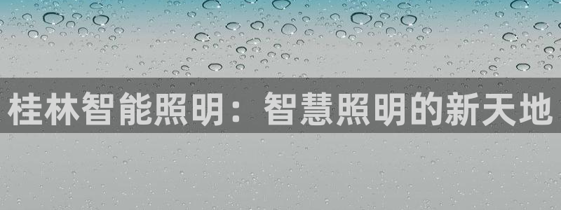 云顶国际物流电话