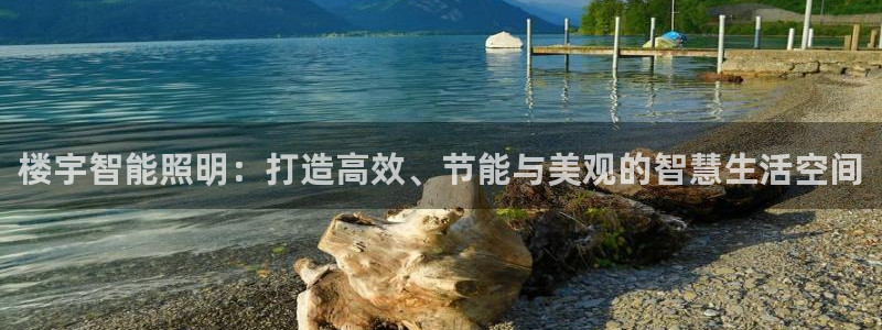 云顶国际酒店老板