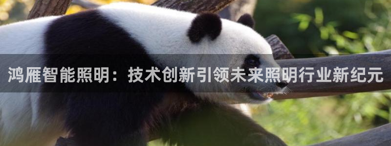 云顶国际服和端游互通吗