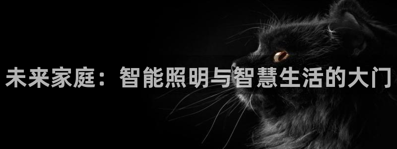 云顶网站官网