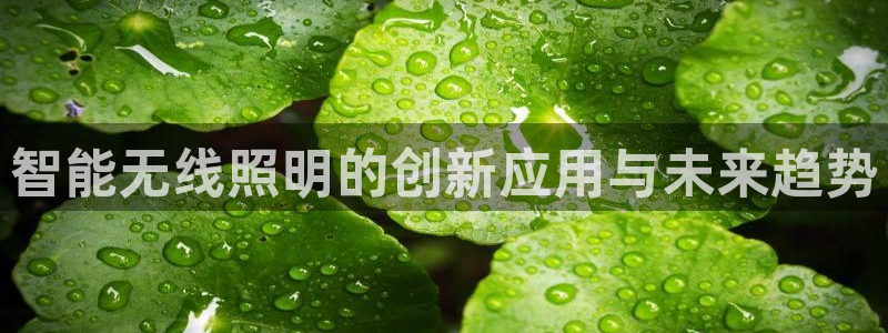 云顶国际服更新s9：智能无线照明的创新应