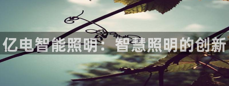 云顶集团注册送28线路：亿电智能照明：智